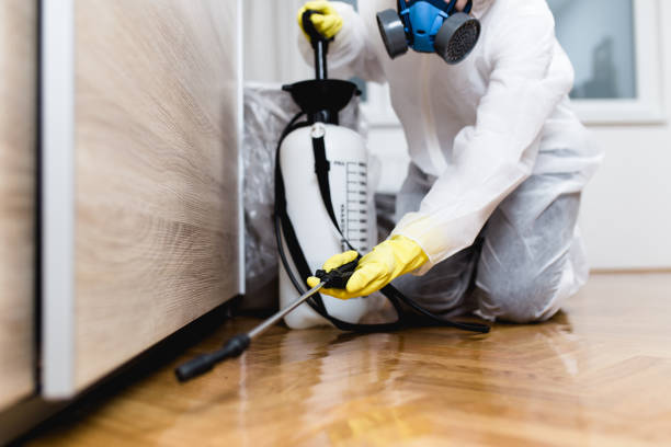 Best Wasp Removal Services  in Washington, IA