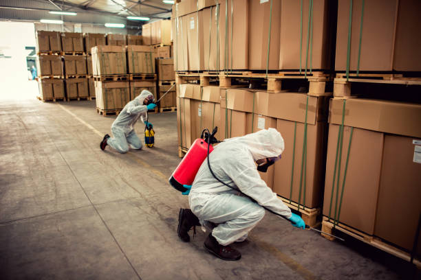 Best Pest Inspection Near Me  in Washington, IA