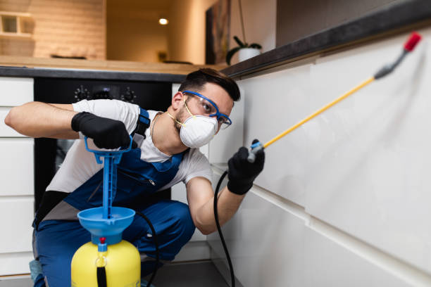 Best Best Pest Control Companies  in Washington, IA