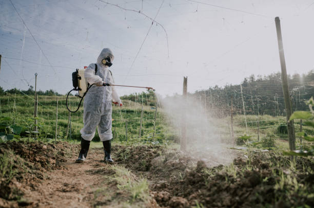 Best Ant Control Services  in Washington, IA
