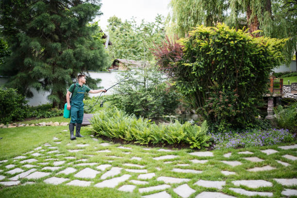 Best Residential Pest Control  in Washington, IA