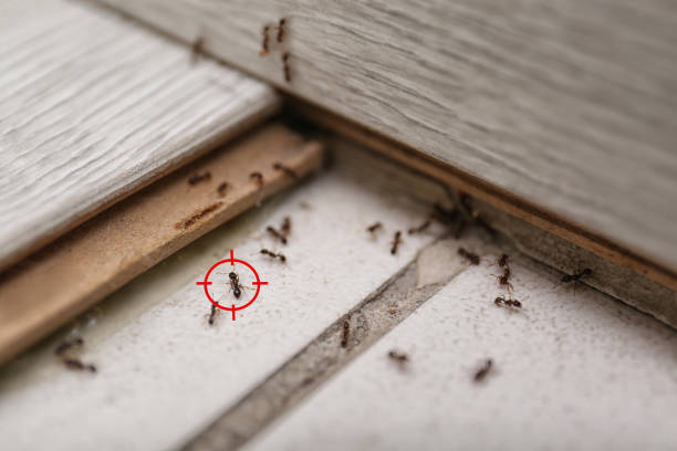 Best Best Pest Control Companies  in Washington, IA