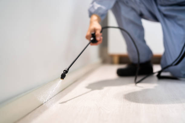 Pest Control for Restaurants in Washington, IA