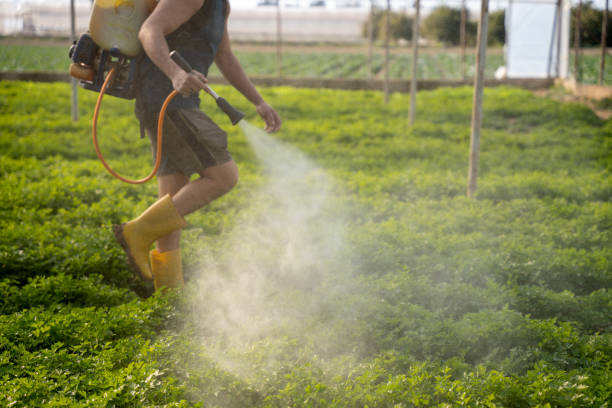 Best Wasp Removal Services  in Washington, IA