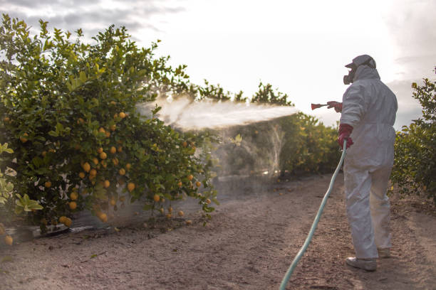 Best Flea Control Services  in Washington, IA