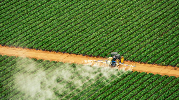 Professional Pest Control in Washington, IA