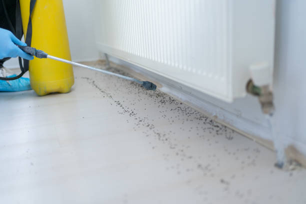Best Pest Removal Services  in Washington, IA