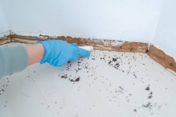 Best Mosquito Control Services  in Washington, IA
